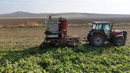 Polatlı’da gün doğmadan başlayan meşakkatli mesai!