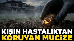 Kışın hastalıktan koruyan mucize! Ankara'nın "Kırmızı Altını" tezgahlarda!