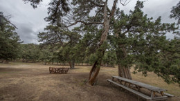 Nallıhan’da piknik nerede yapılır? Hoşebe’nin Ardıçları ve Kayıkbaşı’nın göl manzarası rotası