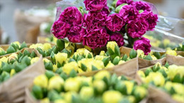 Türk çiçekleri 83 ülkenin gözdesi oldu!