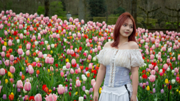 Ankara Sincan-Hollanda Keukenhof arasında Lale mirası