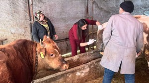 Çamlıdere Belediyesinden hayvancılığa destek: Veterinerlik Birimi hizmete başladı