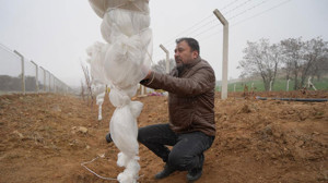 Mart soğuğu üreticiyi zorluyor: Don tehlikesine karşı tedbirler alındı