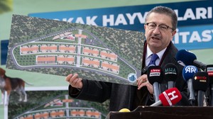 Altındağ’a 75 Bin Metrekarelik Sokak Hayvanları Yaşam Merkezi İnşa Ediliyor