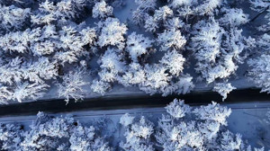 Yozgat Çamlık Milli Parkı’nda büyüleyici kış manzarası