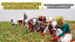 EMEP Genel Başkan Yardımcısı Sedat Başkavak’tan çağrı: “Mevsimlik tarım işçilerinin ötekileştirilmesi ve adaletsiz koşullar son bulmalı!”