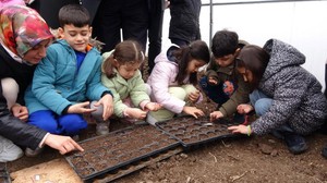 Yozgat’ta anaokulu öğrencileri, ata tohumuyla tanıştı