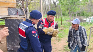Yozgat’ta jandarma, yardım elini yaban yavru tavşanına uzattı