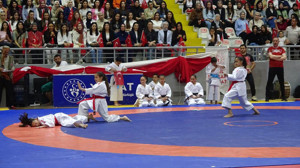 Yozgat’ta 19 Mayıs Gençlik ve Spor Bayramı, çeşitli spor müsabakalarıyla kutlandı