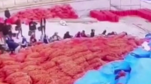 Polatlı’da soğan deposunda kavga!