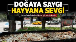 Doğaya saygı, hayvana sevgi: Yenimahalle Belediyesi kuşlar için yemlik koydu