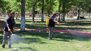 Kırıkkale Belediyesinin haşerelerle mücadelesi devam ediyor