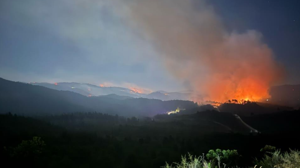 Hatay Yayla Dağı'ndaki yangına AFAD müdahalesi: Havadan ve karadan destek