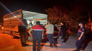 Çayıralan’da şap hastalığı tedbirlerini ihlâl etti, 105 bin lira para cezası kesildi