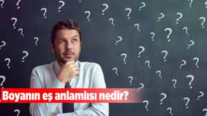 Boyanın eş anlamlısı nedir?