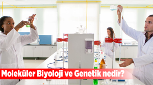 Moleküler Biyoloji ve Genetik nedir, hangi alanlar üstünde çalışırlar, Moleküler Biyoloji ve Genetik Mühendisleri nerelerde çalışabilir?