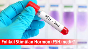 FSH hormonu nedir? Değeri kaç olmalı? FSH kaç olursa menopoz anlamına gelir? İşte merak edilen tüm detaylar