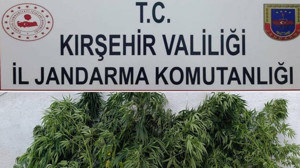 Kırşehir’de zehir tacirlerine darbe!