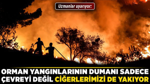 Uzmanlar uyarıyor: Orman yangınlarının dumanı sadece çevreyi değil, ciğerlerimizi de yakıyor!