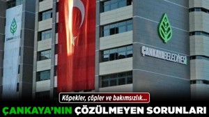 Çankaya'nın çözülmeyen sorunları! Köpekler, çöpler ve bakımsızlık...