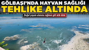 Gölbaşı'nda hayvan sağlığı tehlike altında! Doğal yaşam alanına rağmen göl atık dolu
