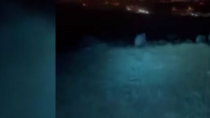 Elmadağ’da domuz kovalamacası: Motosikletli gençler o anları kayda aldı