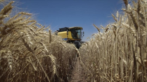 TÜİK açıkladı! Tarım-ÜFE Ağustos'ta yıllık yüzde 41,55 arttı