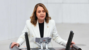 Semra Dinçer kimdir, hangi alanlarda görev alıyor?