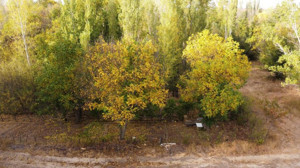 Yozgat’ta güz mevsimi, doğayı renk cümbüşüyle süsledi