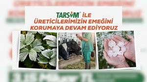 Doğal afetlerden zarar gören çiftçilere devlet desteği sürüyor