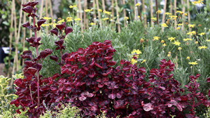 Türkiye'den dünyaya: Pazar 1 milyar doları aştı