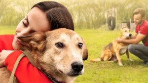 Köpeğin arka ayakları neden güçsüzleşir? Ne yapılmalı?