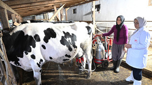 Küçük başlangıç büyük başarı: Kadın eliyle büyüyen çiftlik