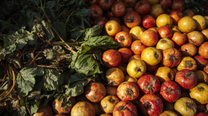 Altındağ'da "tezgâh arkası" vurgunu! Çürük mallara "bu paraya bu kadar" savunması