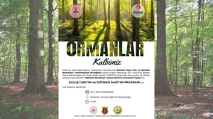 Nallıhan ormanları için kritik proje: "Bilinçli Toplum, Güvenli Ormanlar" başlıyor!
