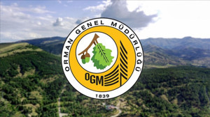 Mülakatsız kamu alımı: OGM yüzlerce personel için il il kontenjan açtı!