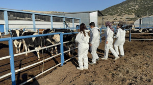 Geleceğin mühendisleri tarlada yetişiyor! Eğitime ve ekonomiye çifte katkı