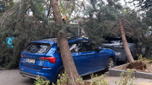 Ankara’da Şiddetli Rüzgar Ağaçları Devirdi: 2 Araç Hasar Gördü