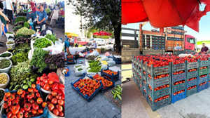 Kırıkkale'de salçalık domates fiyatları belli oldu! Cuma Pazarı'nda domatesin kilosu ne kadar?