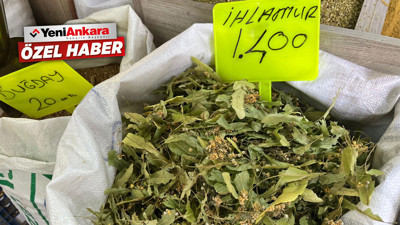 Kışın zam şampiyonu: Ihlamur | Kilosu bin 500 TL’ye kadar çıkıyor