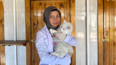 Koruma altında olan Ankara Kedisi için proje: “Her Eve Bir Ankara Kedisi”