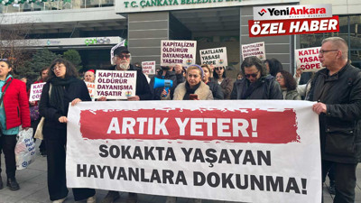 Ankara’da hayvan hakları savunucuları eylemde: “79 kişi yanarak öldü sokak hayvanları hedef oldu”