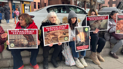 Mamak Belediyesinin önünde “Hayvan katliamı” protestoları devam ediyor