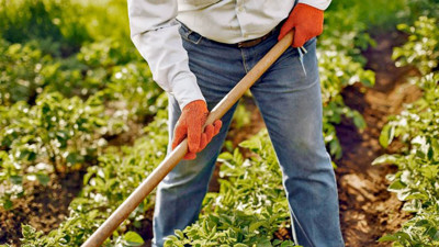 Akyurt tarım faaliyetleri hızlandı: Bahar mesaisi nasıl geçiyor?