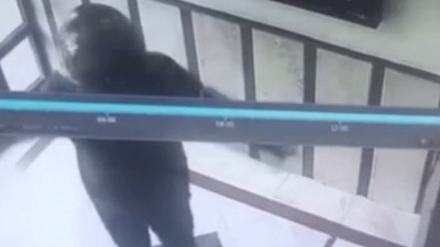 Altındağ'da bir kurye sipariş getirdiği binadaki camları kırdı