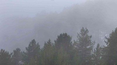 Öğrenciler, yangından etkilenen Kızılcahamam için harekete geçti