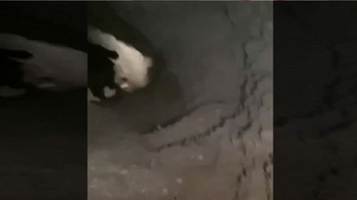 Pençe-Kilit Operasyonu'nda teröristlere büyük darbe