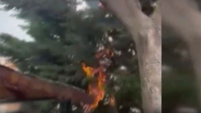 Polatlı'da çocukların ağaç yaktığı anlar kamerada! Belediyeden açıklama geldi
