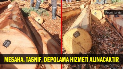 MESAHA, TASNİF, DEPOLAMA HİZMETİ ALINACAKTIR
