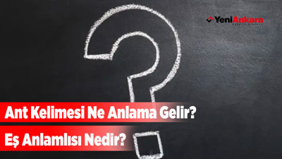 Ant Kelimesi Ne Anlama Gelir? Eş Anlamlısı Nedir?